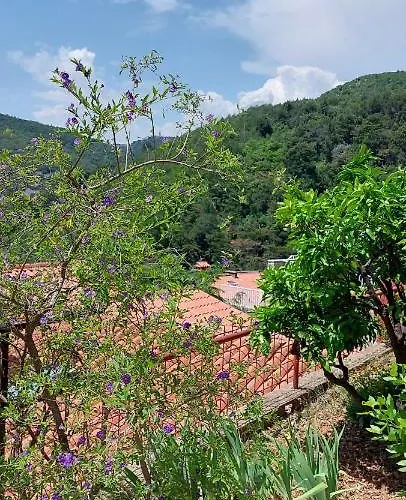 Park Appartamento