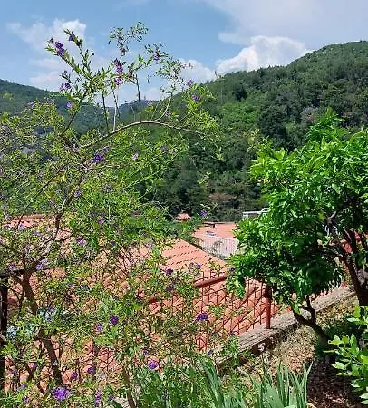 Park Apartman